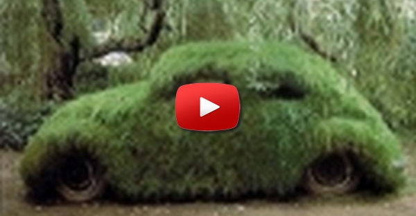 Carro Camuflado